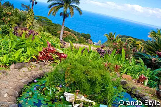 Il giardino dell'Eden a Maui