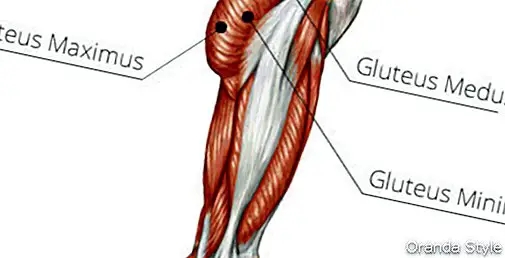 Gesäßmuskeln