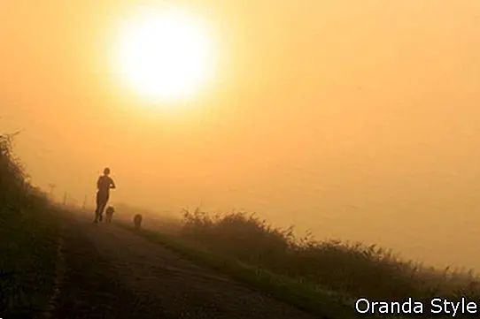 Жена и кучетата й тичат в мъглата в слънчева сутрин