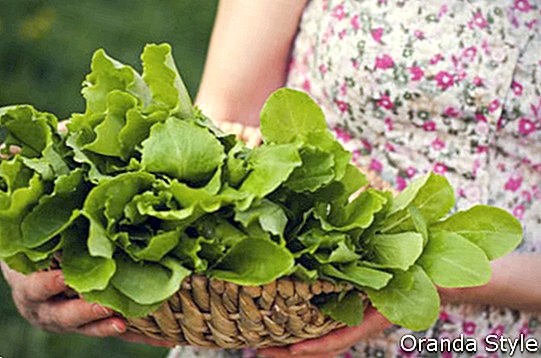 mergaičių rankos, laikančios žalias salotas