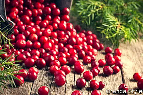 cranberry segar