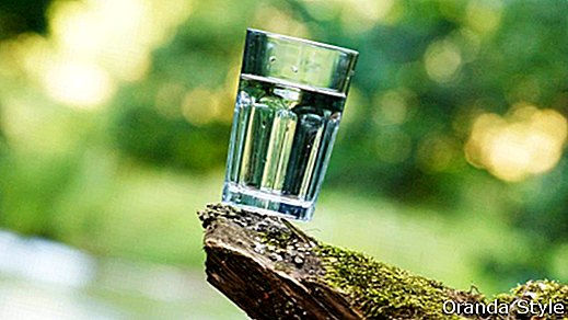 Kako prikimavati vodo v svojo prehrano