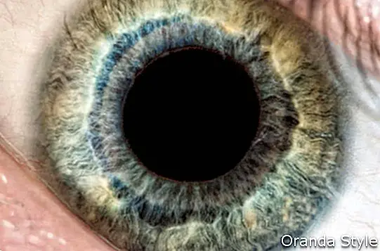 צילום מאקרו של עין אנושית ירוקה וכחולה התמקד בקשתית העין