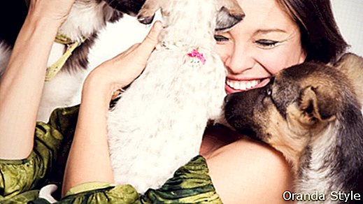 7 Perkara Yang Harus Anda Ketahui Sebelum Mengadopsi Anjing
