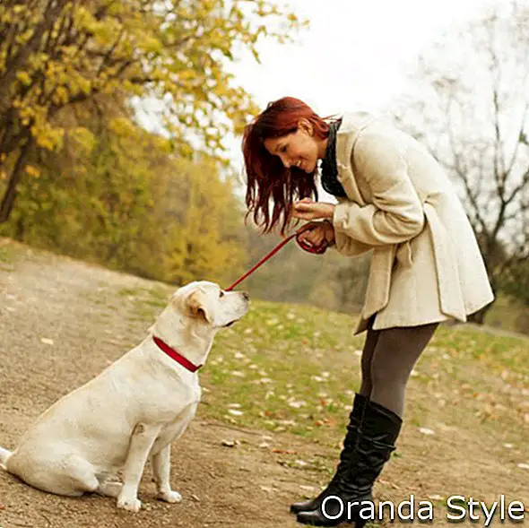 En ung kvinde, der træner en Labrador-hvalp til at sidde i en park