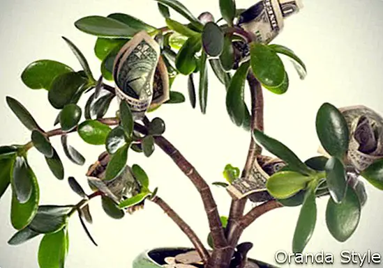Feng Shui stabla novca