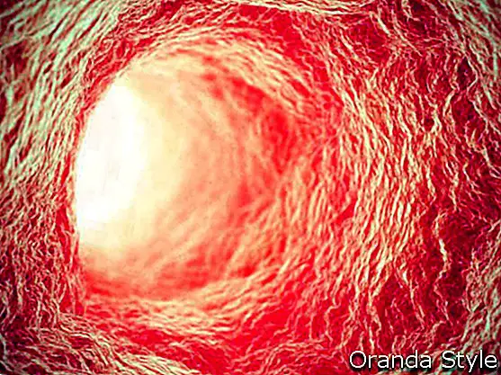 Wewnątrz naczynia krwionośnego