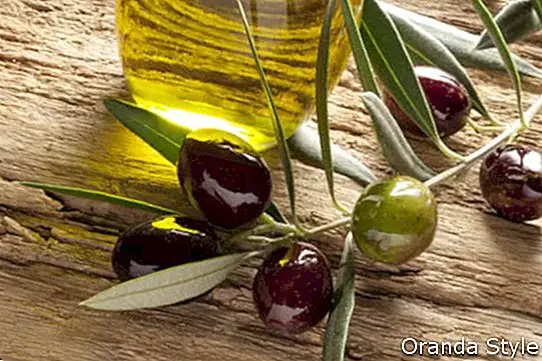 маслиново уље и маслинова грана осветљени старом маслином