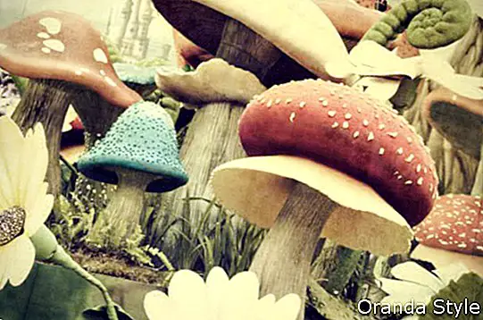 houby v zahradě