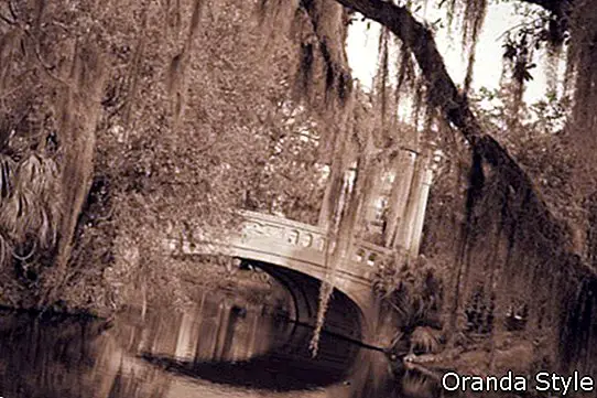 Puente en el parque de la ciudad de Nueva Orleans