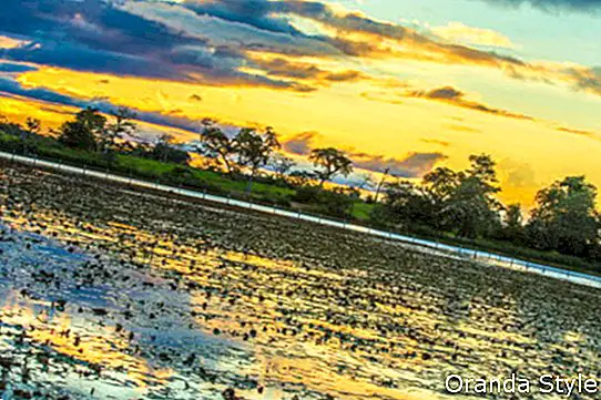 Colorido atardecer en Pantanal