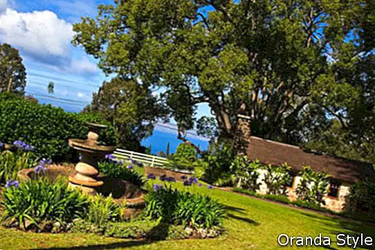 taman di kebun anggur di Hawaii