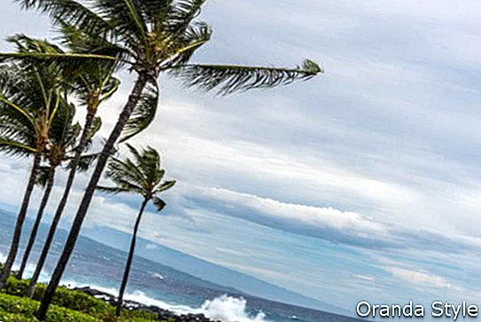 Storm på Hawaii-stranden
