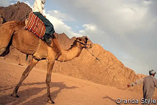 Frau reitet Kamel in Ägypten