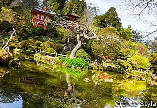 גן התה היפני בסן פרנסיסקו
